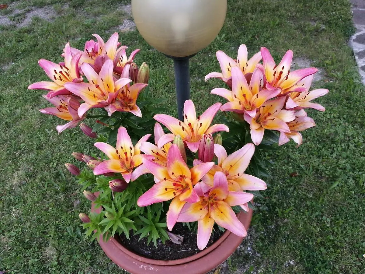 Ostello Delle Cartiere 토스콜라노마데노 0*,  이탈리아